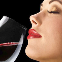 Wine & Beverage Collection (View All)